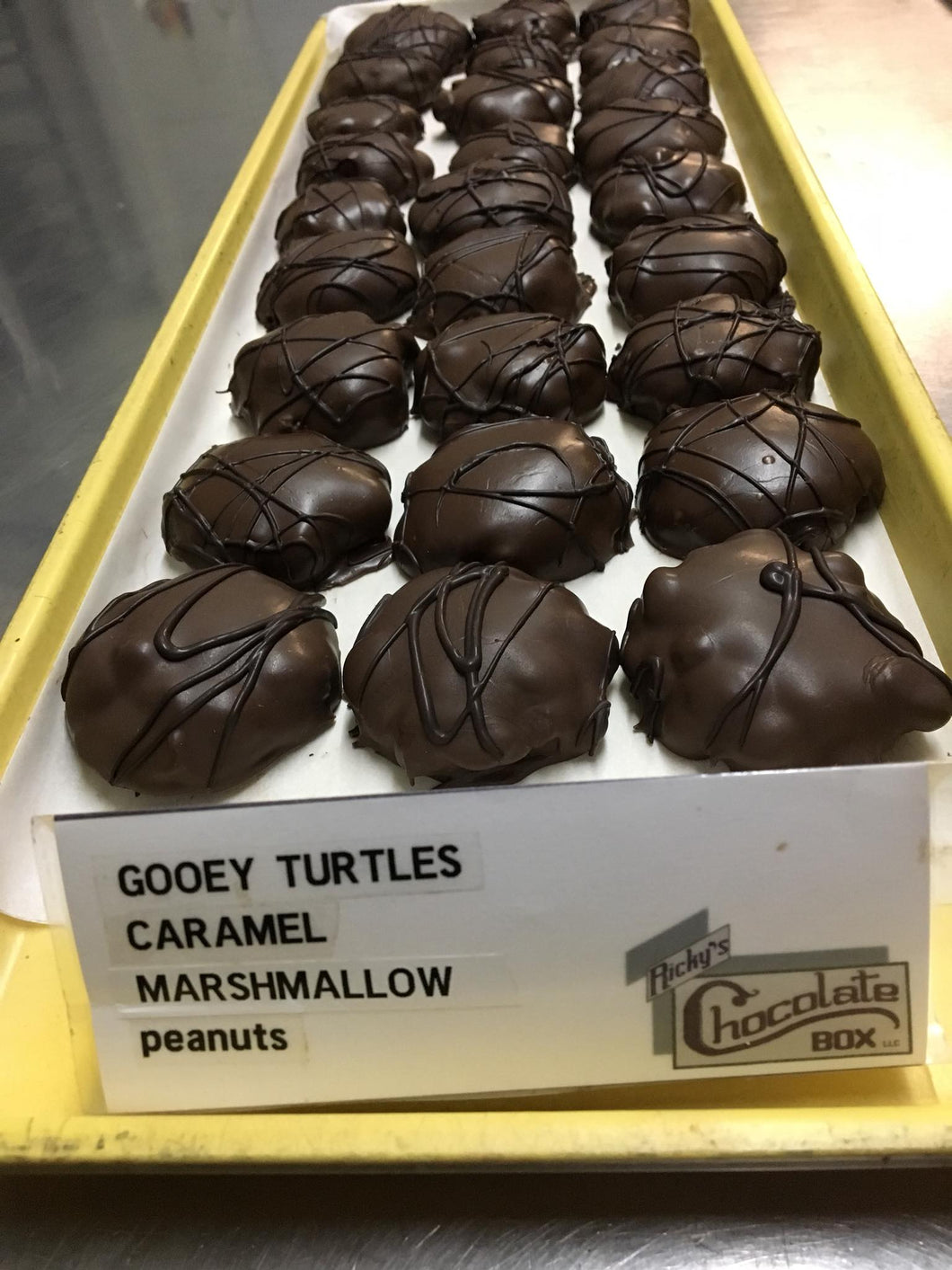 Gooey Turtles