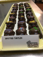 Spotted Turtles